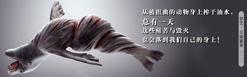 七彩神仙鱼的主要食饵