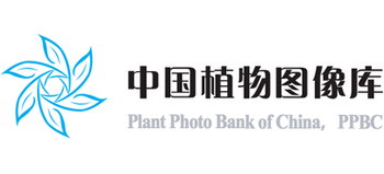 中国植物图像库logo,中国植物图像库标识