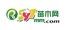 597苗木网logo,597苗木网标识