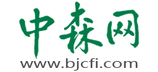 北京中森国际工程咨询有限责任公司logo,北京中森国际工程咨询有限责任公司标识