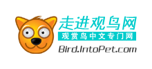 爱鸟网logo,爱鸟网标识