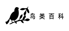 鸟类百科网logo,鸟类百科网标识