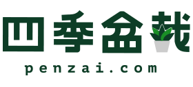 四季盆栽logo,四季盆栽标识
