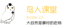 鸟人课堂logo,鸟人课堂标识