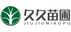 九九苗圃Logo