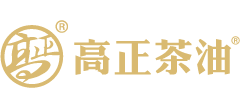 江西高正集团Logo