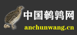 中国鹌鹑网Logo
