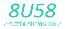 8u58药材网Logo