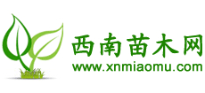 西南苗木网Logo