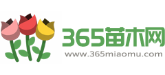 365苗木网Logo