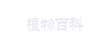 植物百科网Logo