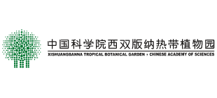 中国科学院西双版纳热带植物园Logo